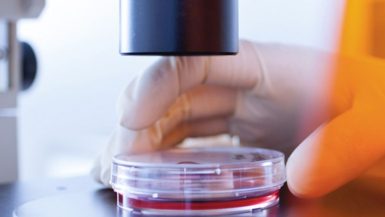 laminas de seguridad antibacterias